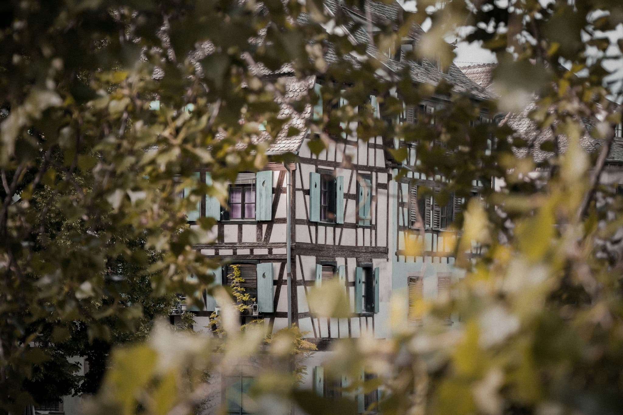 Strasbourg