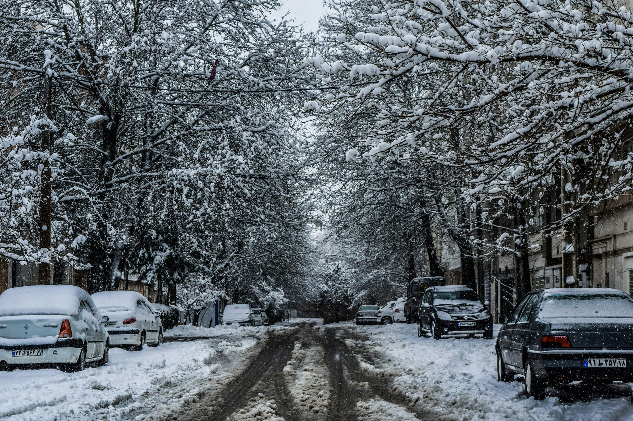 Tehran